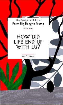 How Did Life End Up With Us? - O'Connor, S. S.
