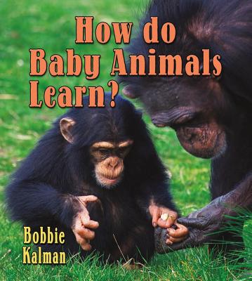 How Do Baby Animals Learn? - Kalman, Bobbie