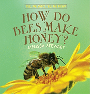How Do Bees Make Honey?