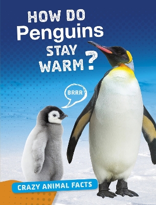 How Do Penguins Stay Warm? - Furstinger, Nancy