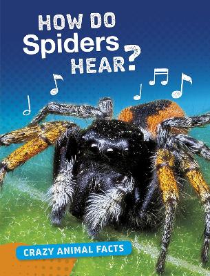 How Do Spiders Hear? - Furstinger, Nancy