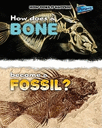 How Does a Bone Become a Fossil?