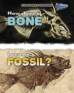 How Does a Bone Become a Fossil?