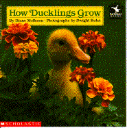 How Ducklings Grow - Molleson, Diane, and Kuhn, Dwight R (Photographer)