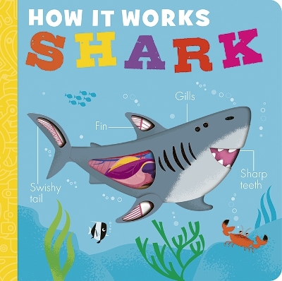 How it Works: Shark - Littleboy, Molly