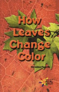 How Leaves Change Color
