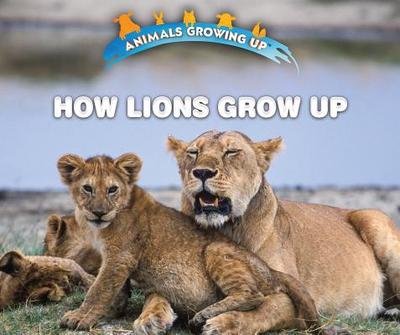 How Lions Grow Up - Idzikowski, Lisa
