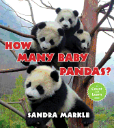 How Many Baby Pandas?
