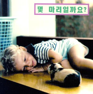 How Many? - Choi, Jin (Translated by)