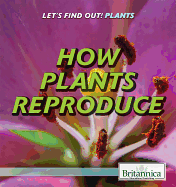 How Plants Reproduce