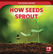 How Seeds Sprout