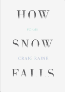How Snow Falls