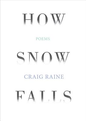 How Snow Falls - Raine, Craig