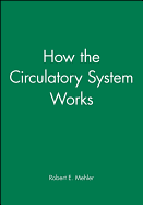 How the Circulatory System Works