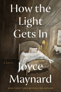 How the Light Gets in: A Novel