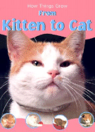 How Things Grow from Kitten to Cat