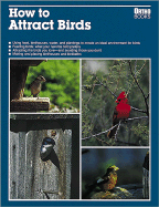 How to Attract Birds