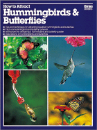 How to Attract Hummingbirds & Butterflies