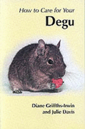 How to Care for Your Degu
