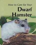 How to Care for Your Dwarf Hamster