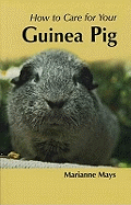 How to Care for Your Guinea Pig