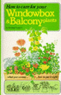How to care for your windowbox & balcony plants