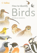 How to Identify Birds