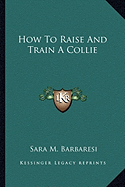 How To Raise And Train A Collie