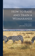 How to raise and train a Weimaraner