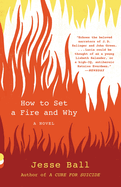 How to Set a Fire and Why