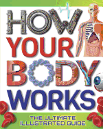 How Your Body Works: The Ultimate Illustrated Guide