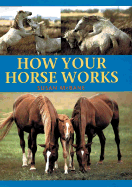 How Your Horse Works