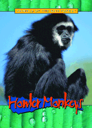 Howler Monkeys