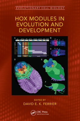 Hox Modules in Evolution and Development - Ferrier, David E K (Editor)