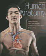 Human Anatomy