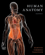 Human Anatomy