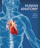 Human Anatomy