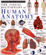 Human Anatomy