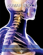 Human Body I