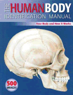 Human Body Identification Manual: Your Body and How it Works