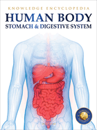 Human Body: Stomach and Digestive System