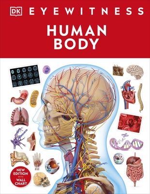 Human Body - DK