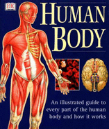 Human Body