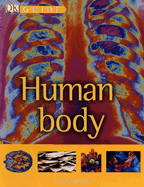 Human Body