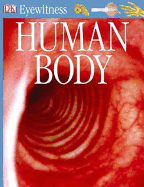 Human Body
