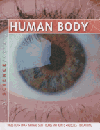 Human Body
