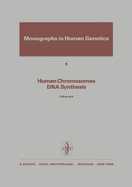 Human chromosomes DNA synthesis