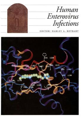 Human Enterovirus Infections - Rotbart, Harley A, MD (Editor)