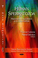 Human Spermatozoa: Maturation, Capacitation and Abnormalities