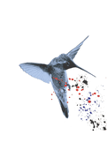 Hummingbird Special Edition: Author's cut, with unreleased story